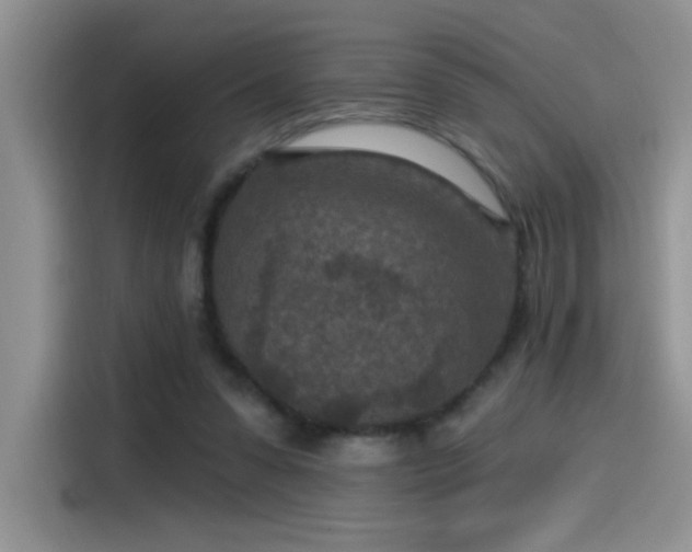 X0000115530303200911131511