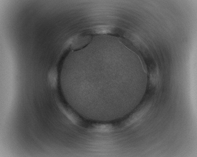 X0000115530304200911131511