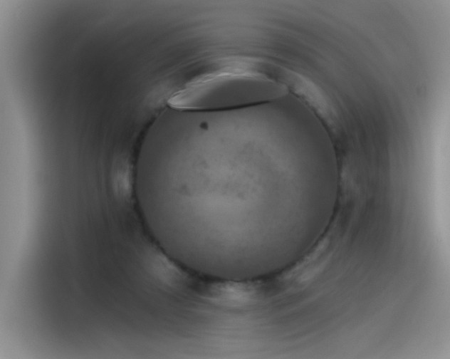 X0000115530305200911131511