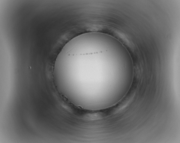 X0000115530307200911131511