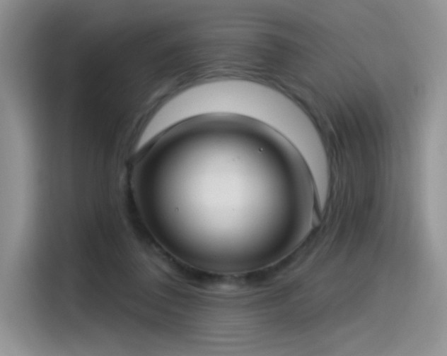 X0000115530308200911131511