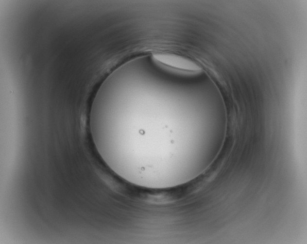 X0000115530309200911131511