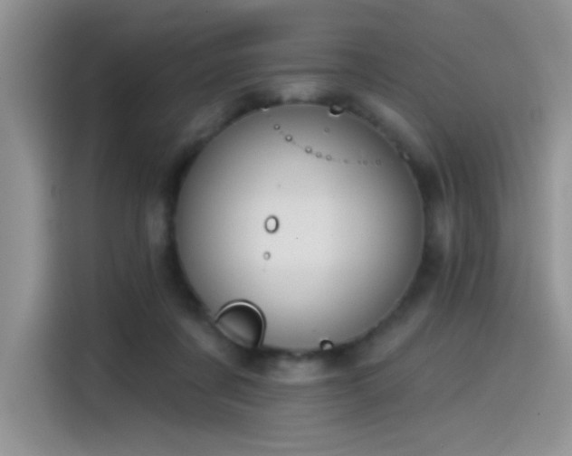 X0000115530311200911131511