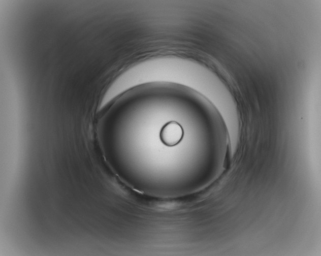 X0000115530313200911131510