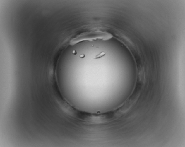 X0000115530314200911131510