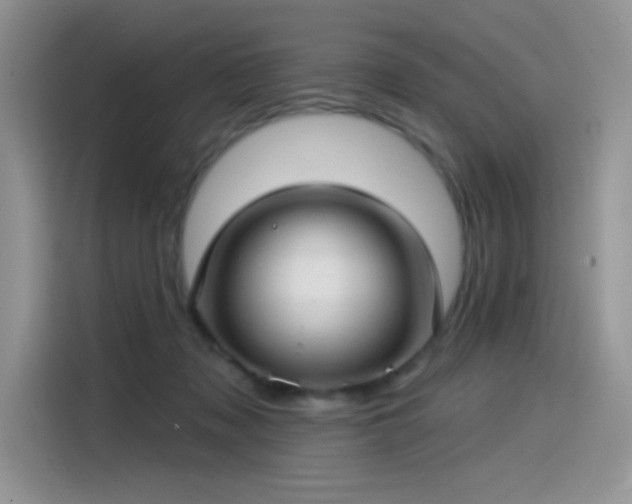 X0000115530317200911131510