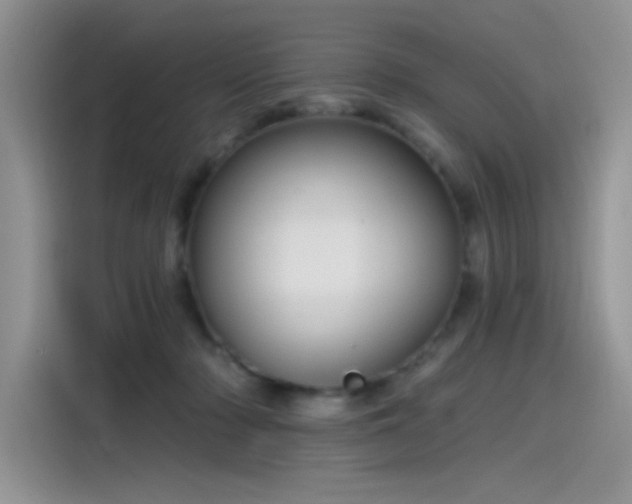 X0000115530318200911131510