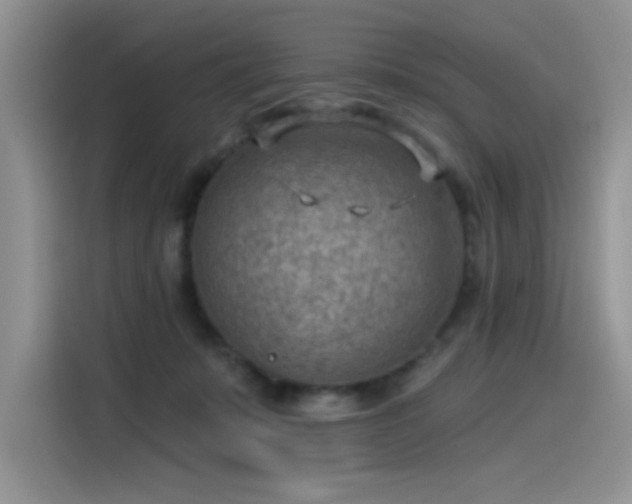 X0000115530319200911131510