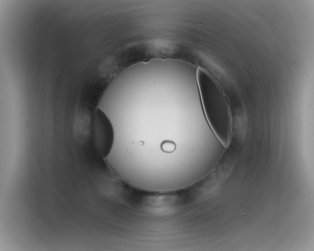 X0000115530323200911131510