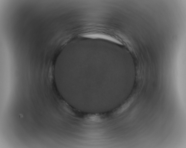 X0000115530325200911131510