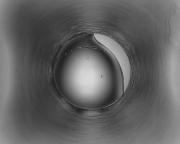 X0000115530327200911131510