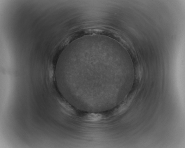 X0000115530328200911131510