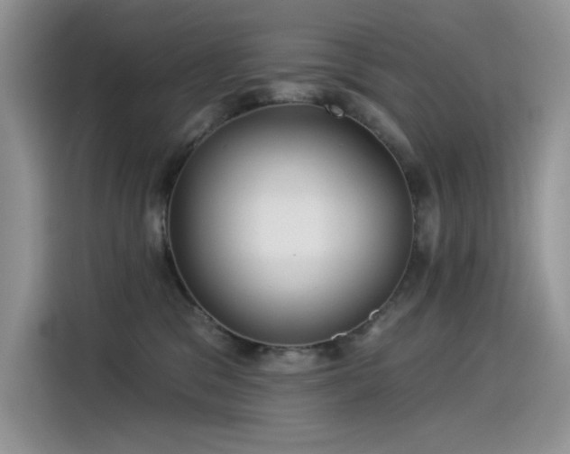 X0000115530329200911131510