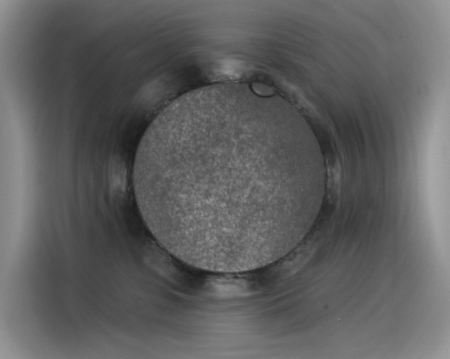 X0000115530331200911131510