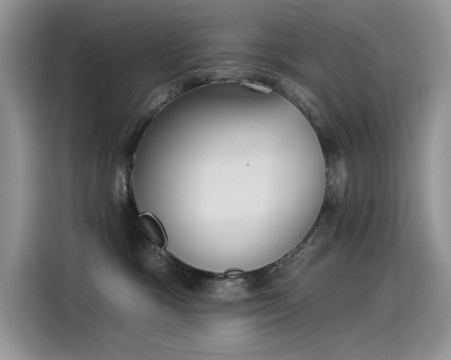 X0000115530333200911131510