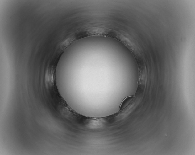 X0000115530334200911131510