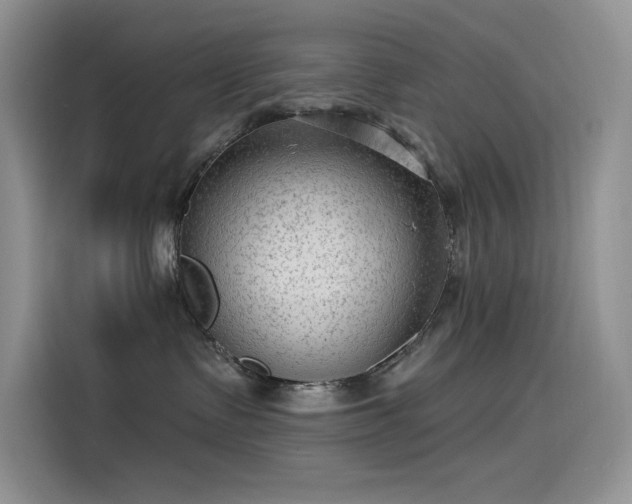 X0000115530335200911131510