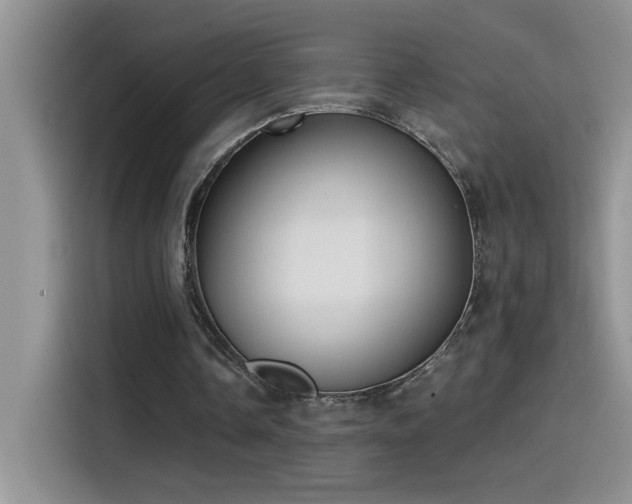 X0000115530338200911131510