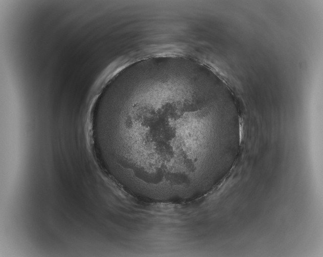 X0000115530339200911131510