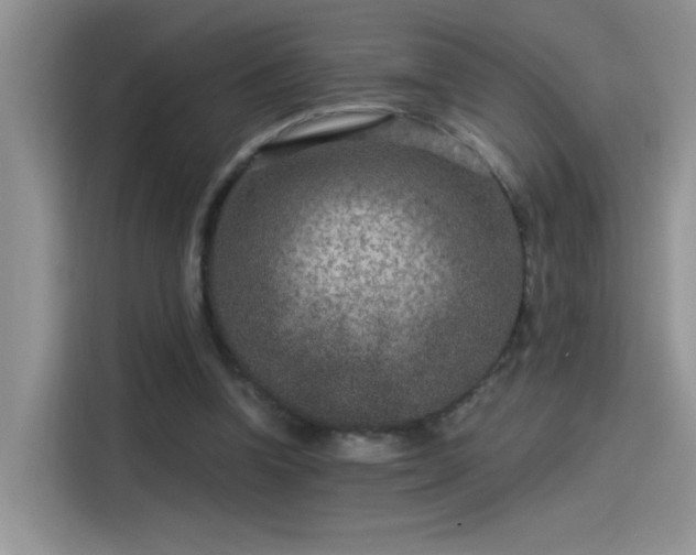 X0000115530346200911131510