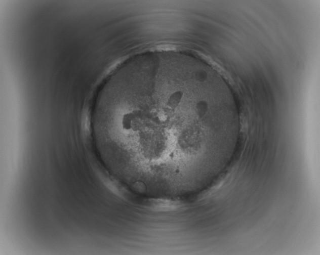 X0000115530347200911131510