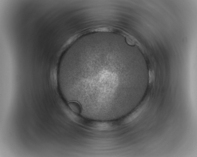 X0000115530349200911131510