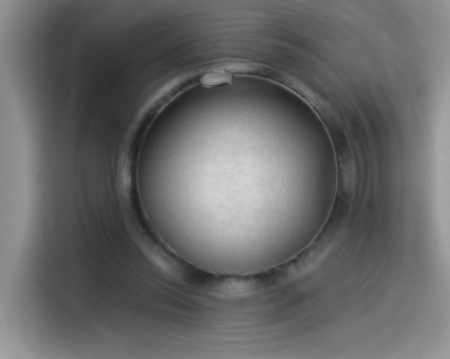 X0000115530350200911131510