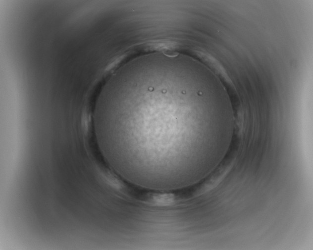 X0000115530355200911131510