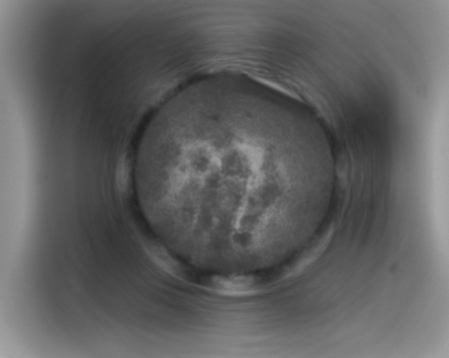 X0000115530359200911131510