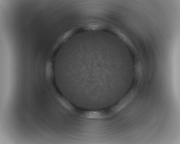 X0000115530361200911131510