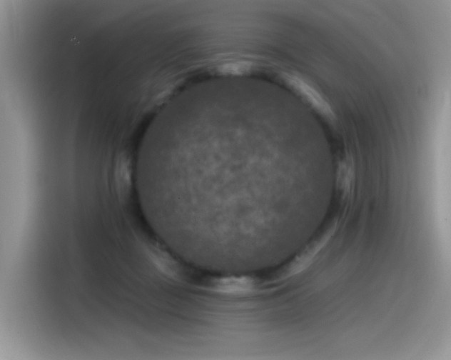 X0000115530363200911131510