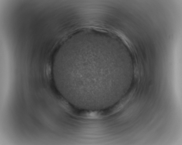 X0000115530365200911131510