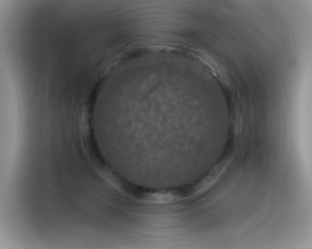 X0000115530366200911131510