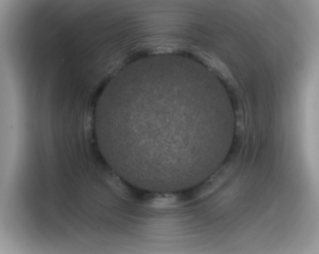 X0000115530369200911131510