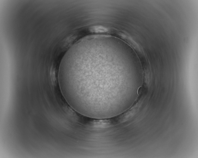 X0000115530378200911131510