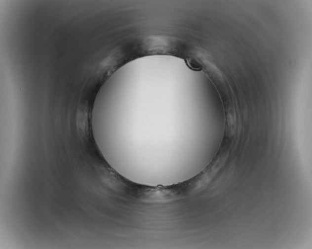 X0000115530379200911131510