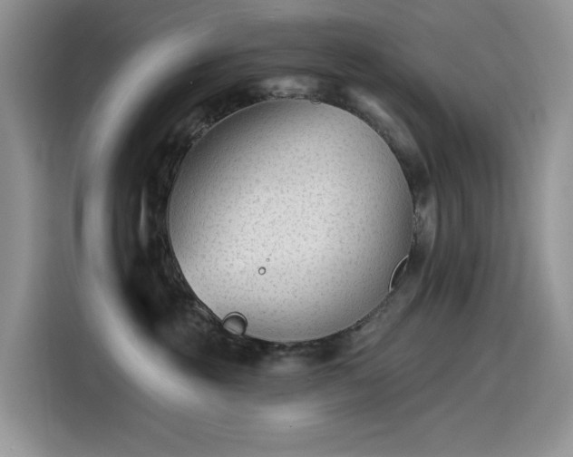 X0000115530381200911131510