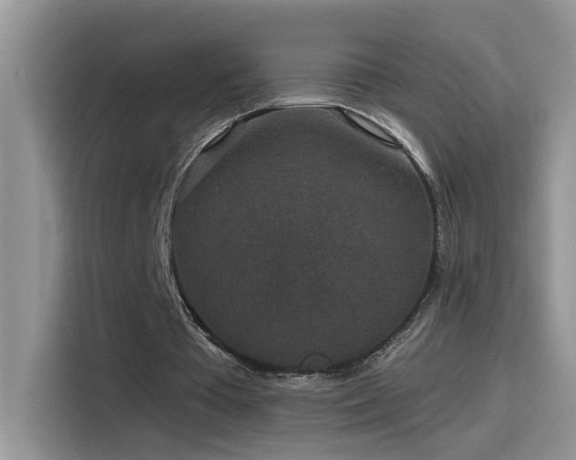 X0000115530385200911131510