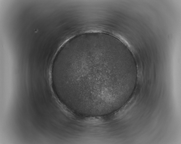 X0000115530386200911131510