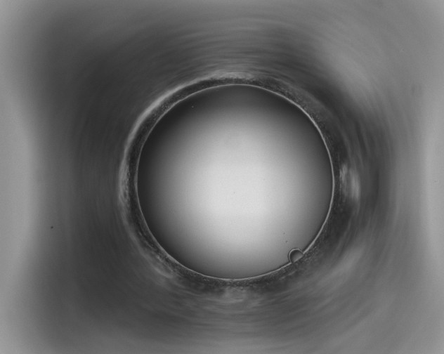 X0000115530388200911131510