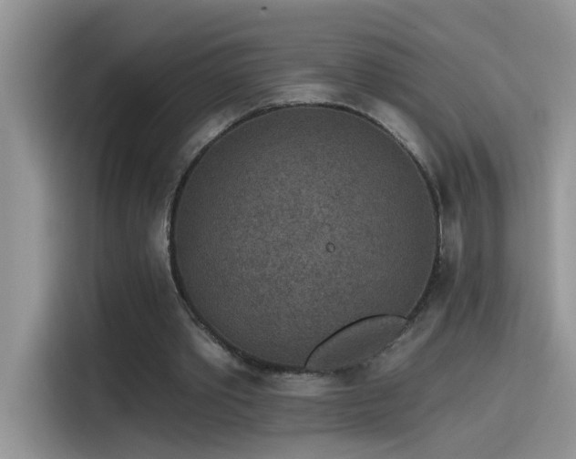 X0000115530389200911131509