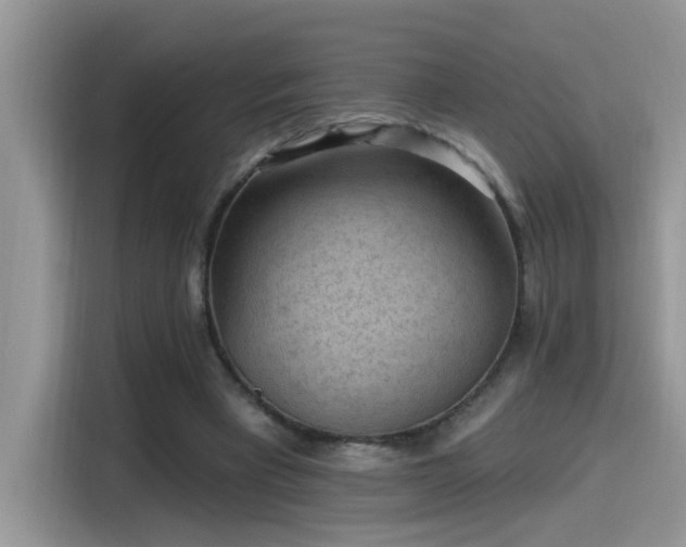 X0000115530393200911131509