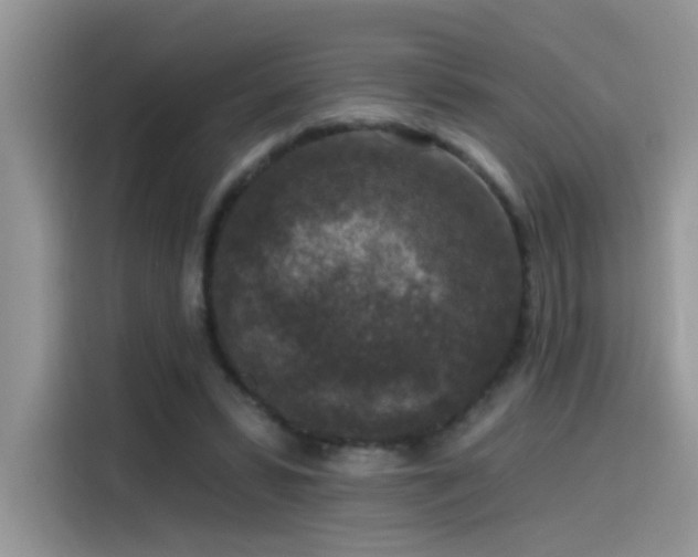 X0000115530399200911131509