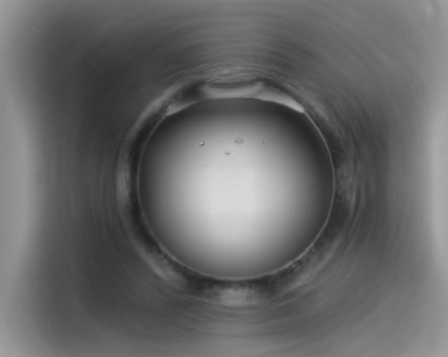 X0000115530400200911131509