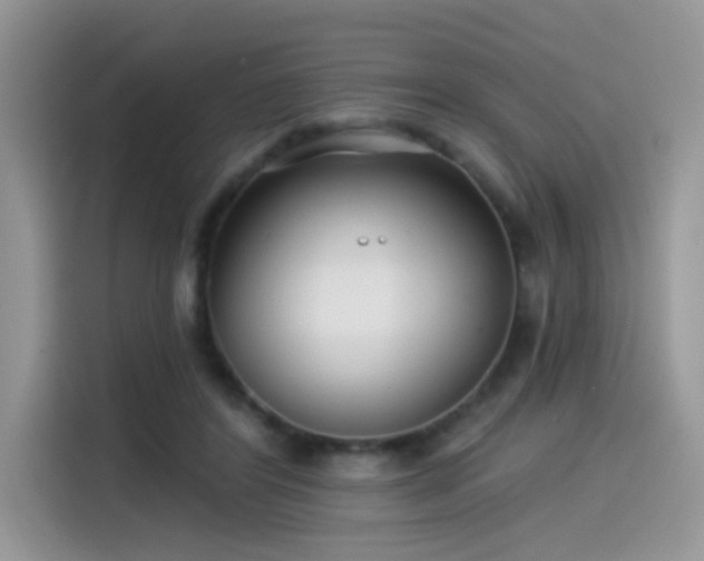 X0000115530404200911131509