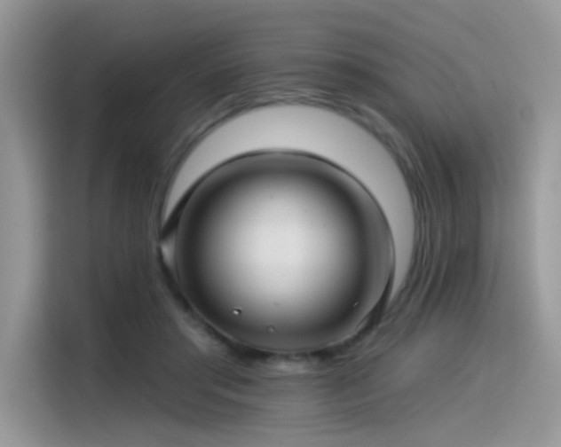 X0000115530405200911131509