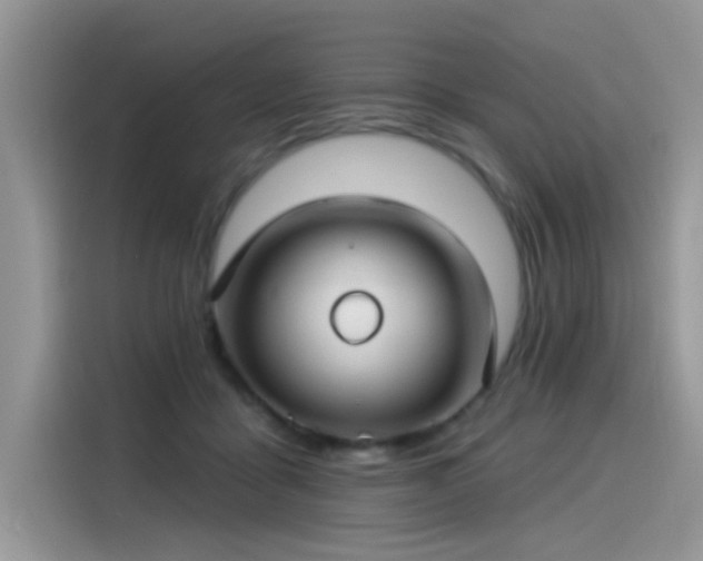 X0000115530411200911131509