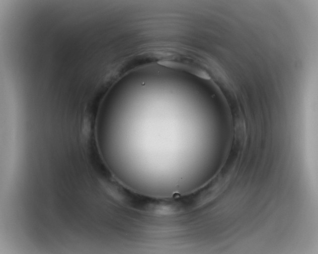 X0000115530412200911131509