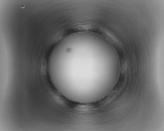 X0000115530414200911131509