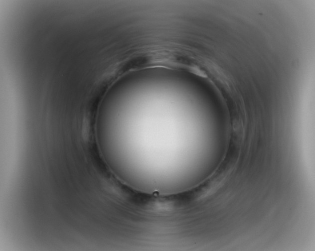 X0000115530416200911131509